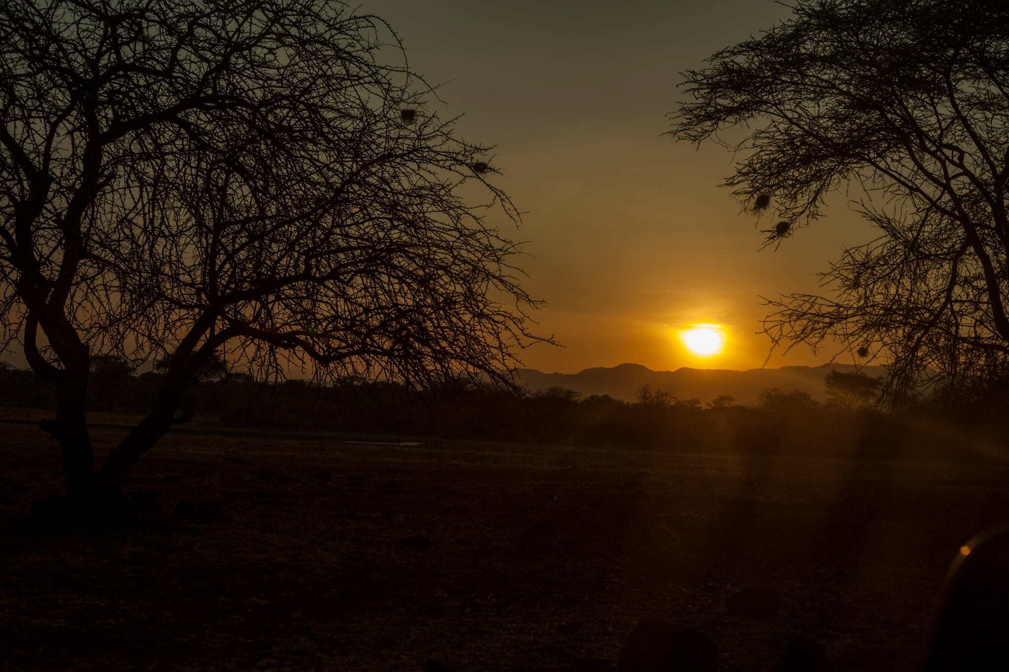 Masai Mara, Kenya