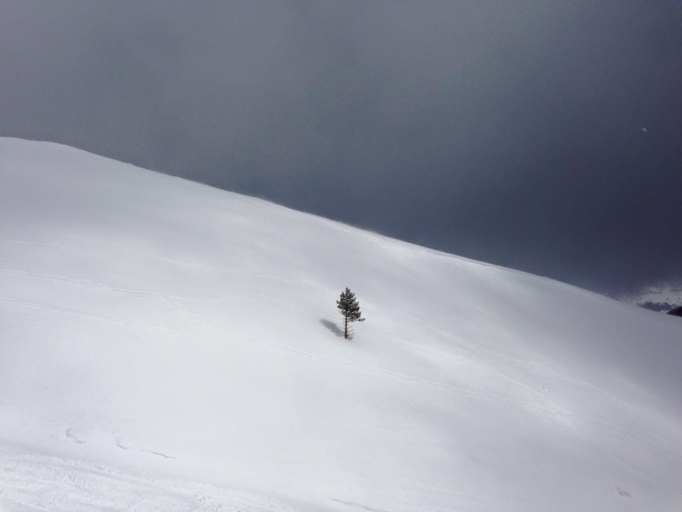 Che ne sapete voi della solitudine?