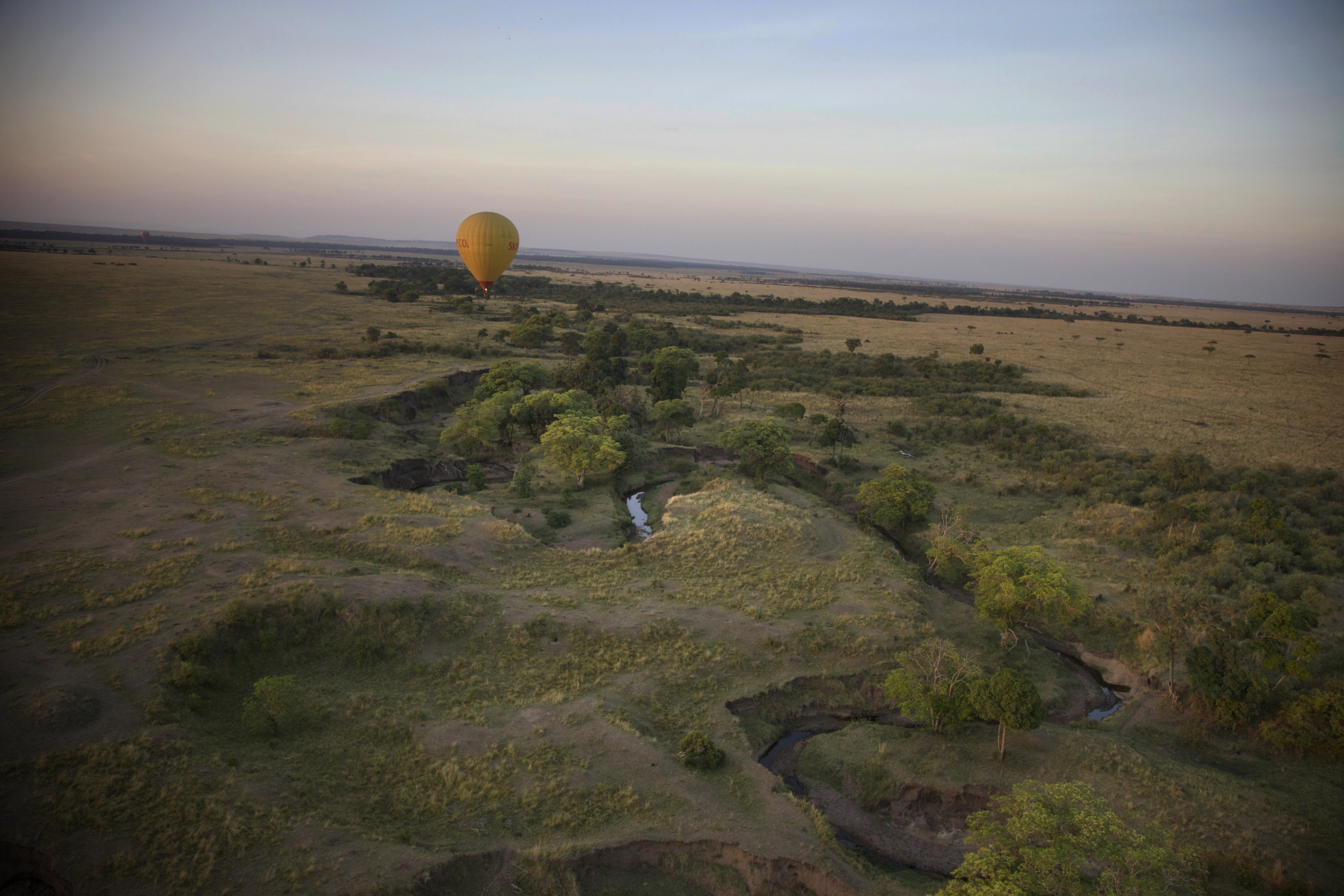 Masai Mara, Kenya