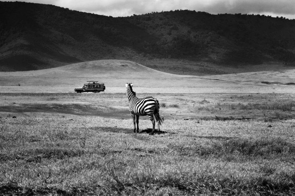 Ngorongoro, Tanzania