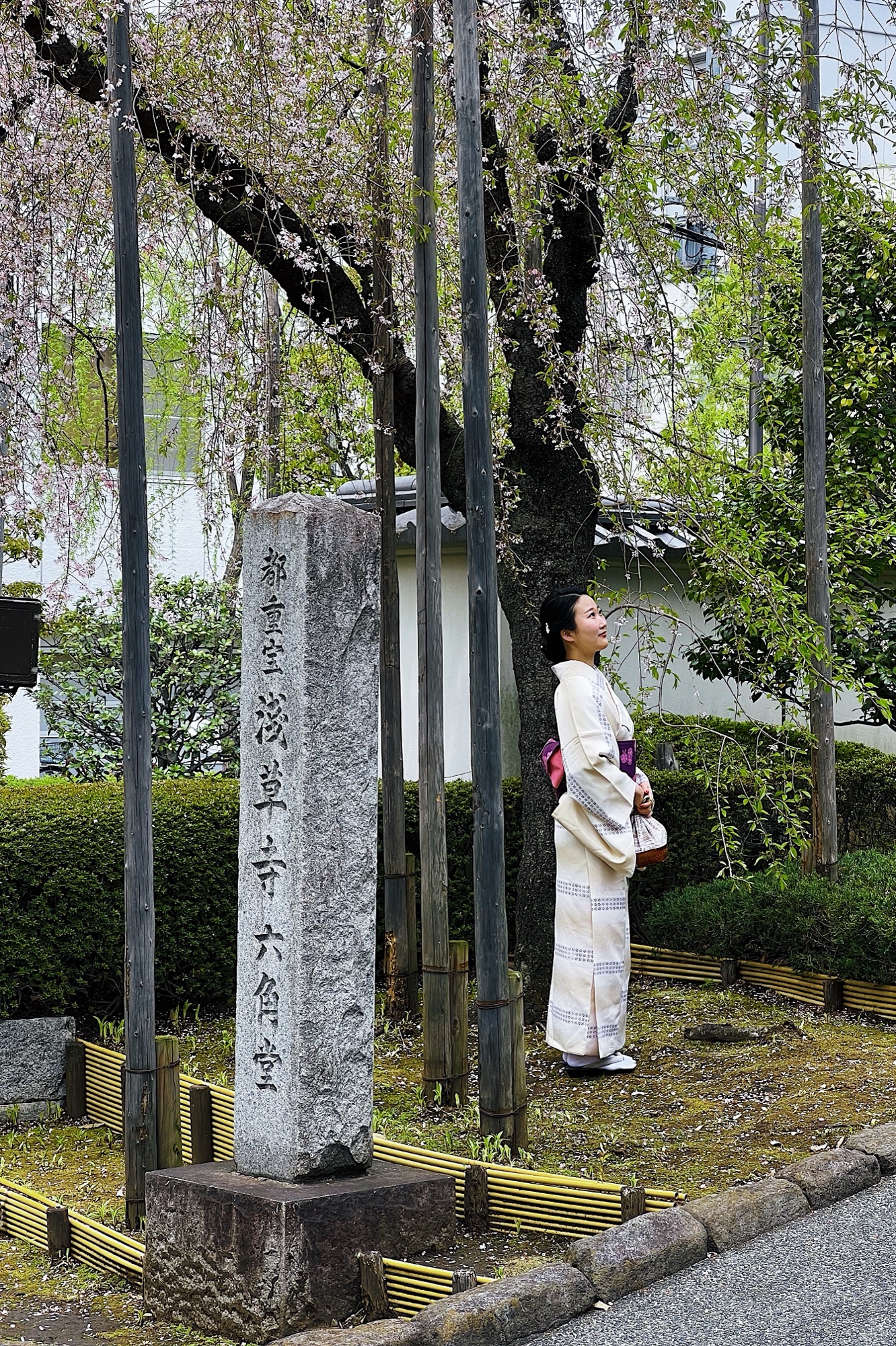 Image gallery image